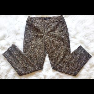 White House Black Market size 2 leopard pants